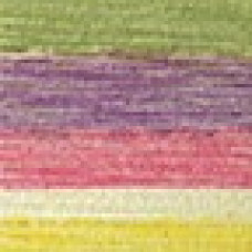 LionBrand Baby Soft yarn: Circus Print