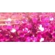 Craft Glitter: Fuchsia
