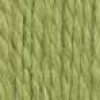 Patons Shetland Chunky yarn: Leaf Green