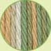 Lily Sugar'n Cream yarn: Country Sage Ombre