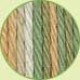 Lily Sugar'n Cream yarn: Country Sage Ombre